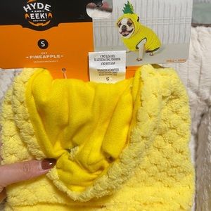 Pet Pineapple costume